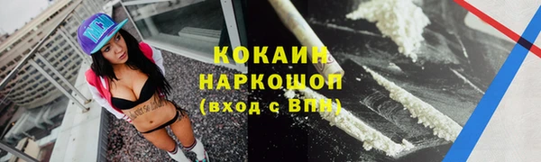 мдпв Магас