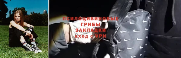 ГАЛЛЮЦИНОГЕННЫЕ ГРИБЫ Алексеевка