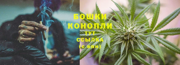 ГАЛЛЮЦИНОГЕННЫЕ ГРИБЫ Алексеевка